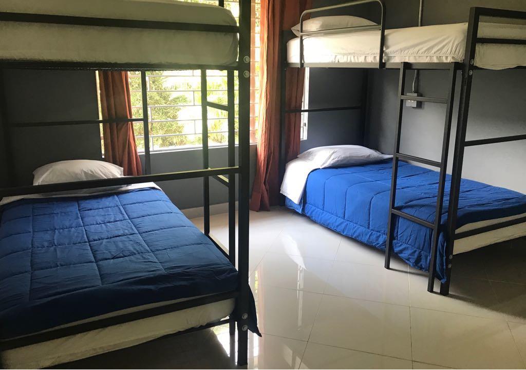 Single Bed in 4-Bed Dormitory Room